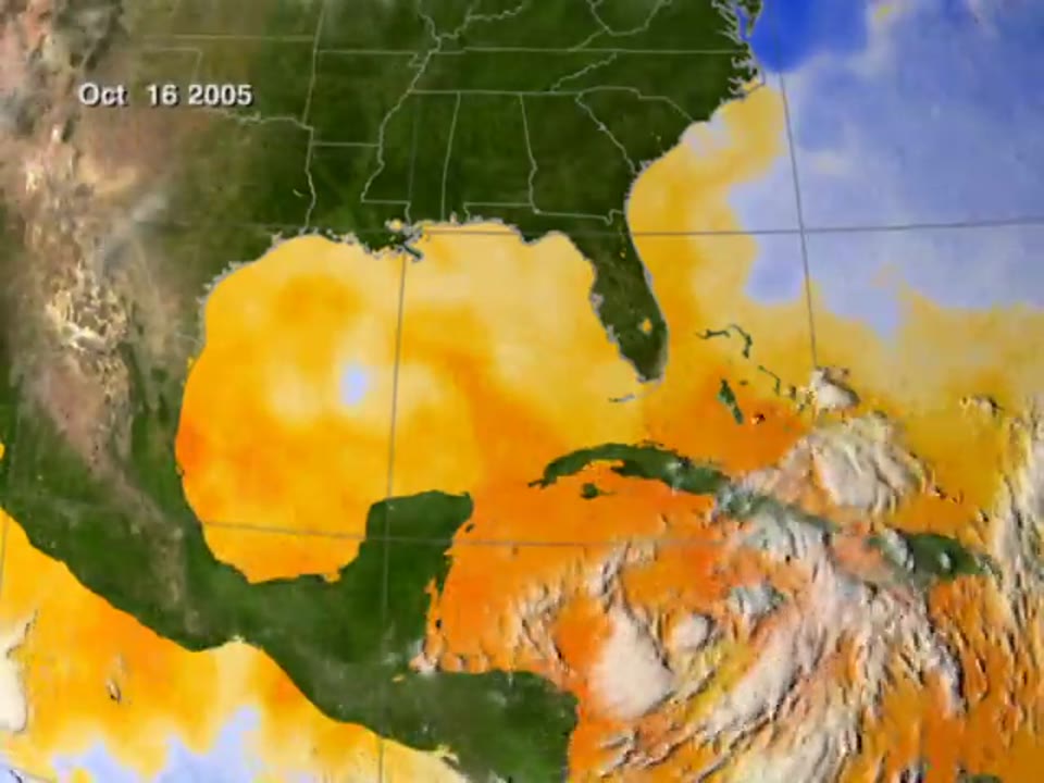 Hurricane Wilma -- SSTs and Clouds