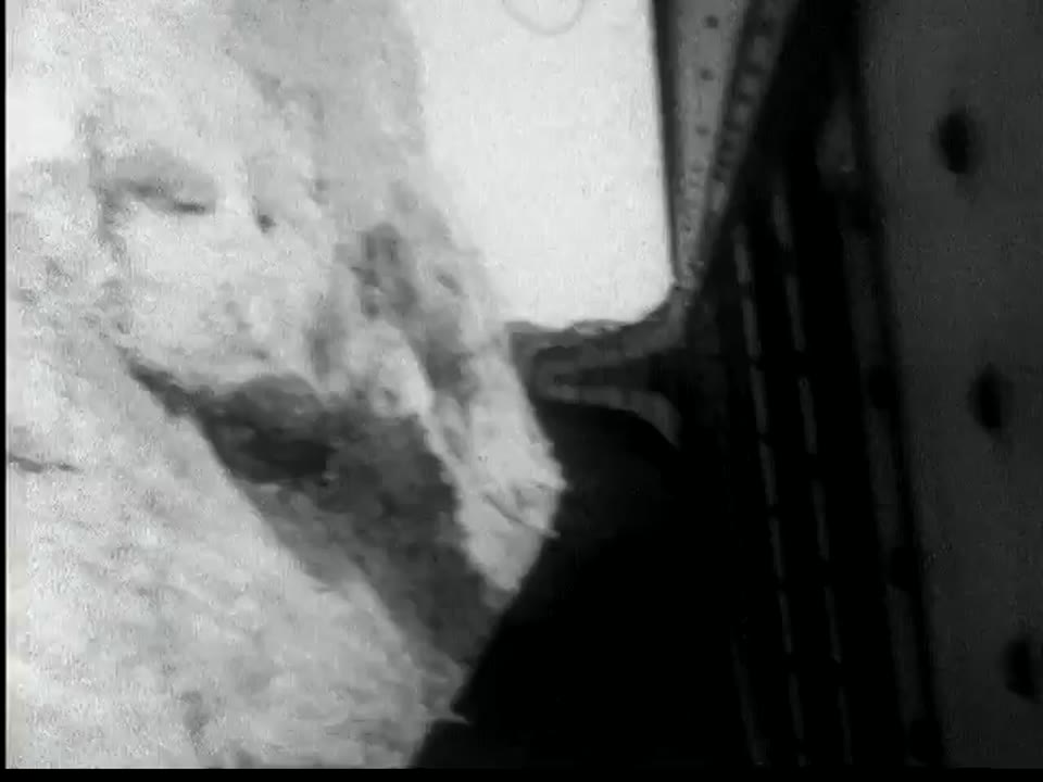 [Home Movies: Grand Canyon in the 1920s]