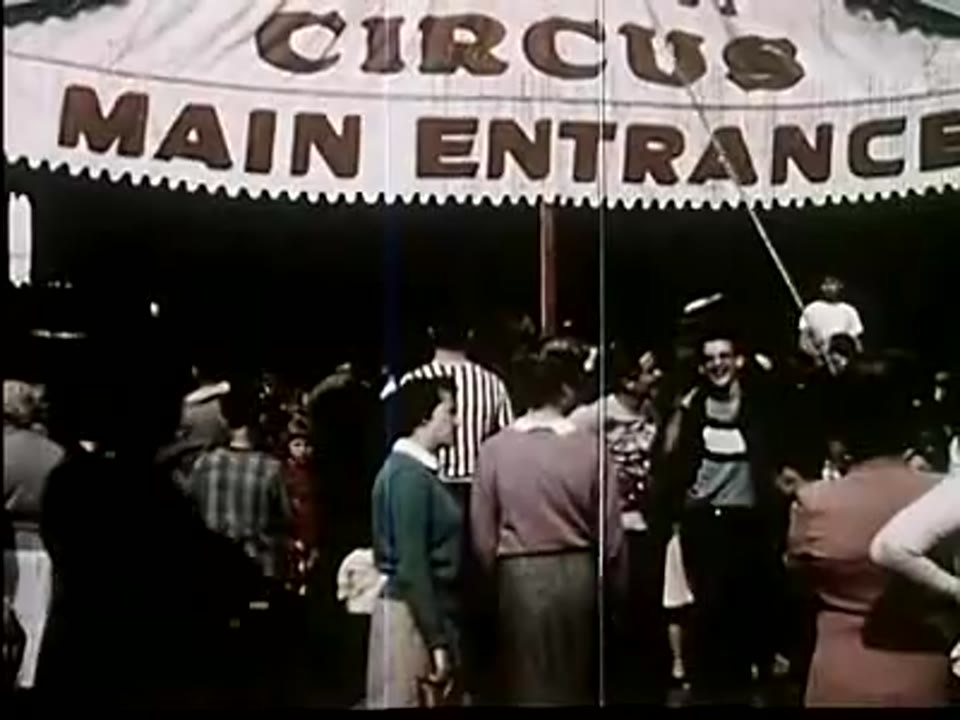Bird Circus