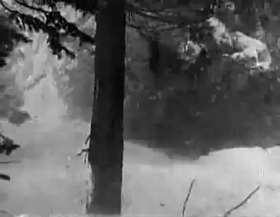 The Fatal Glass of Beer (1933)