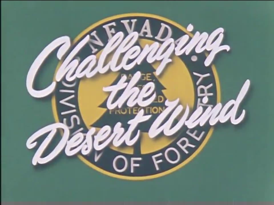 Challenging the Desert Wind