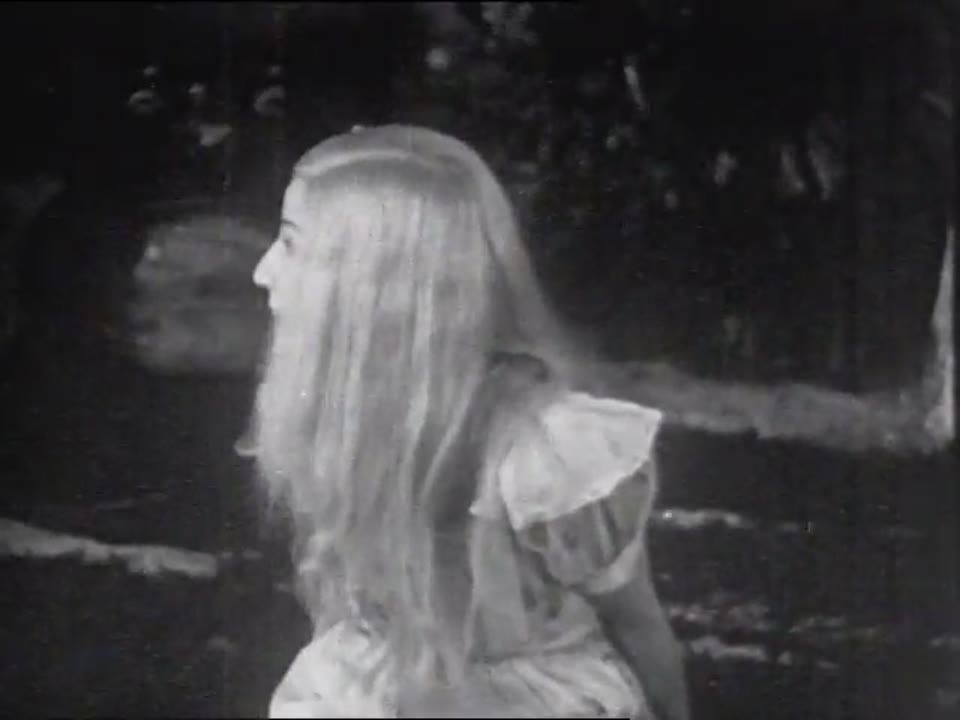 Alice in Wonderland