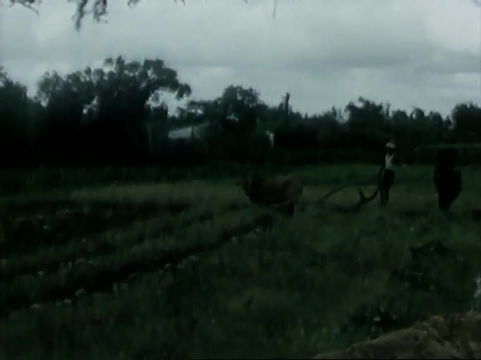 [Home Movies: Unidentified]