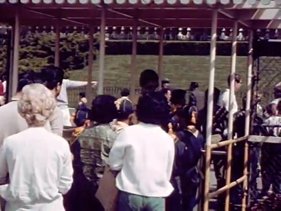 Amateur Film Amusement Park