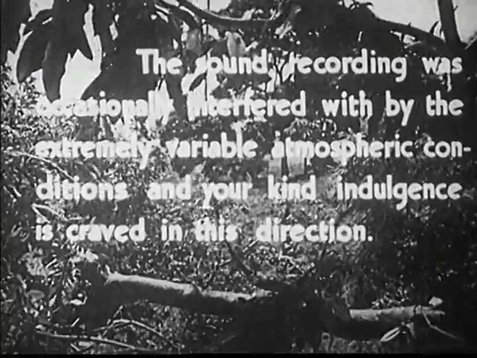 The New Adventures of Tarzan (1935)