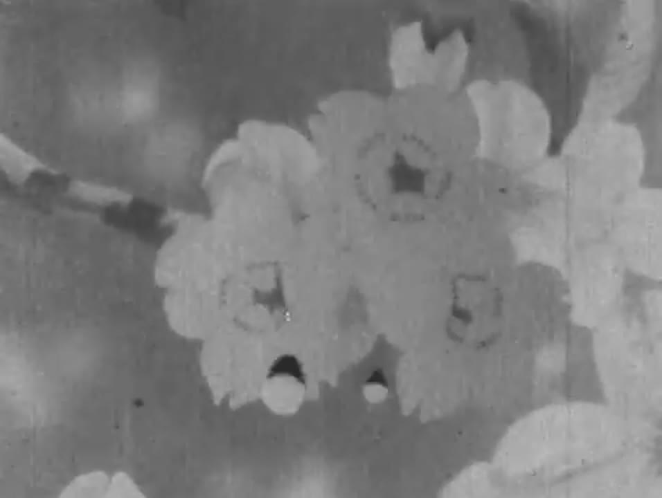 Sakura (1946)