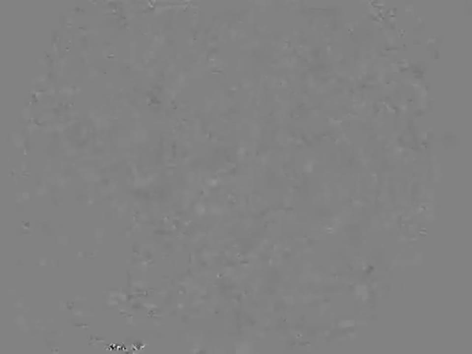 A Grasshopper Goes Stargazing