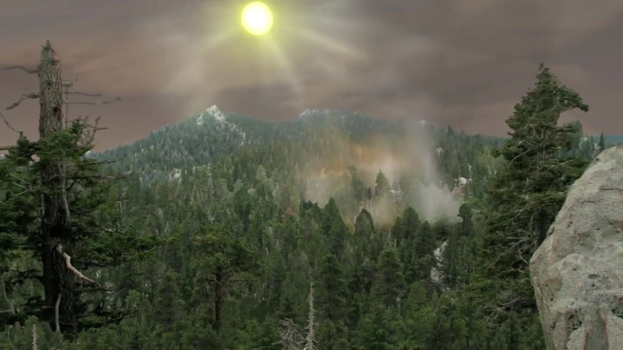 Aerosols Absorb; Aerosols Reflect