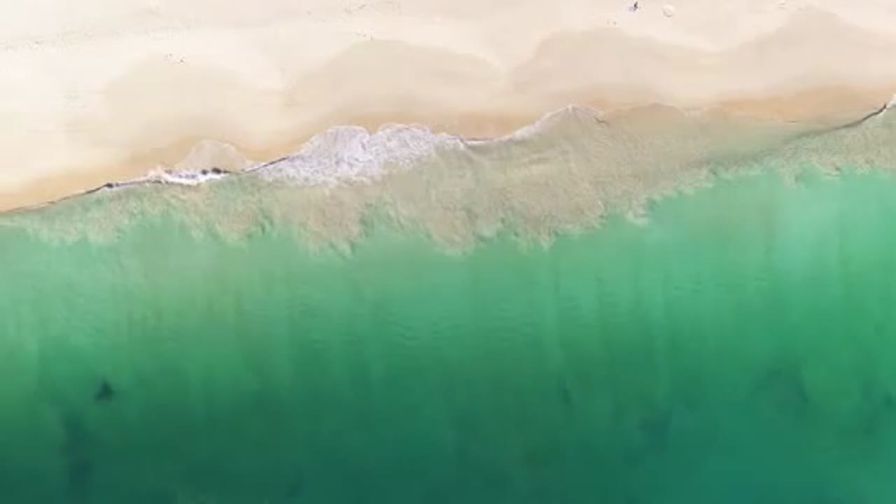 Free Clip 6 - Birds eye view of beach