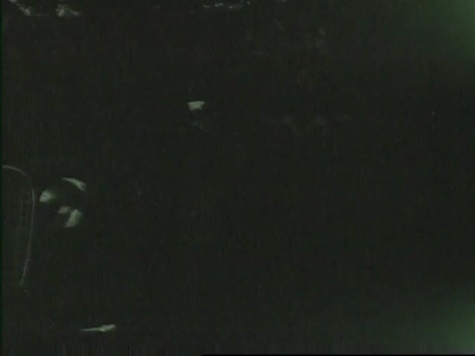[Home Movies: Ozarks]