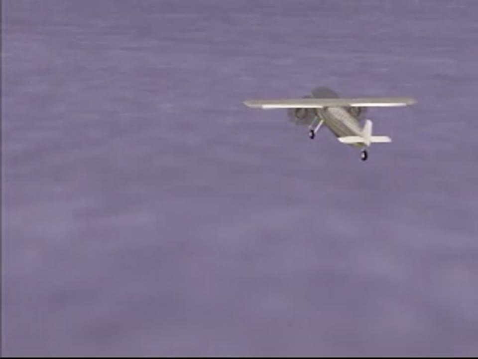 Byrd's Flight