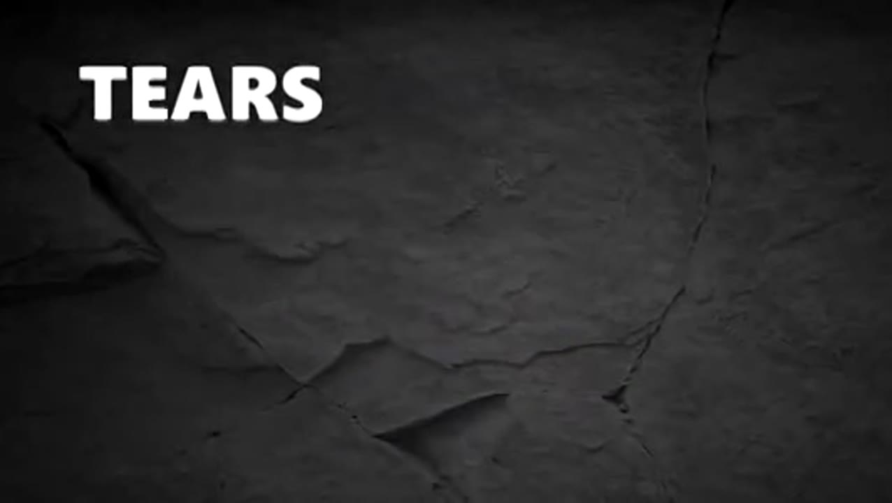 Maximum High Long Ago ( Lyric Video)