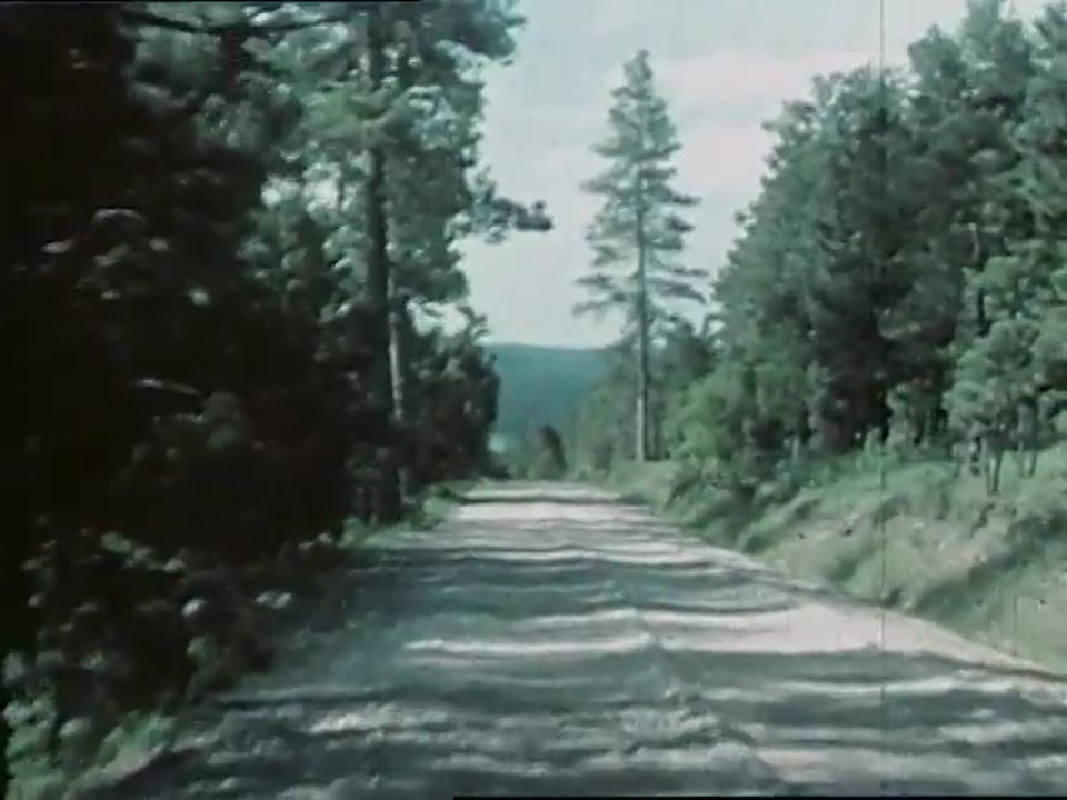 [Home Movies: Mahoning Valley Collection, Roll 28]