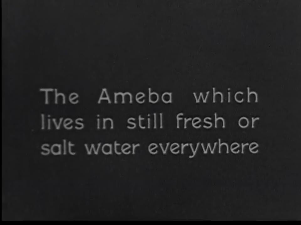 Man: A Film Lesson in "General Science"