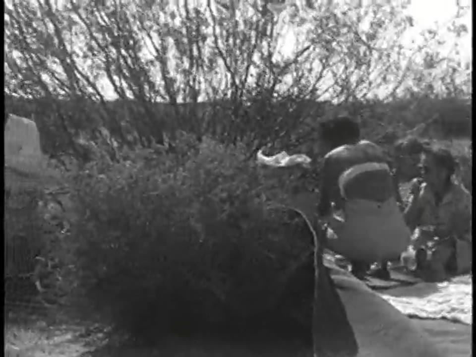 Colaci Home Movies: Family 1952-1956 (Part II)