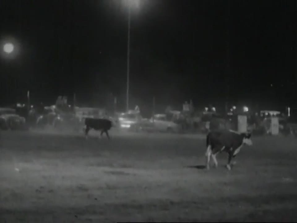 [Home Movies: Night Rodeo, Gallup, New Mexico, 1951]