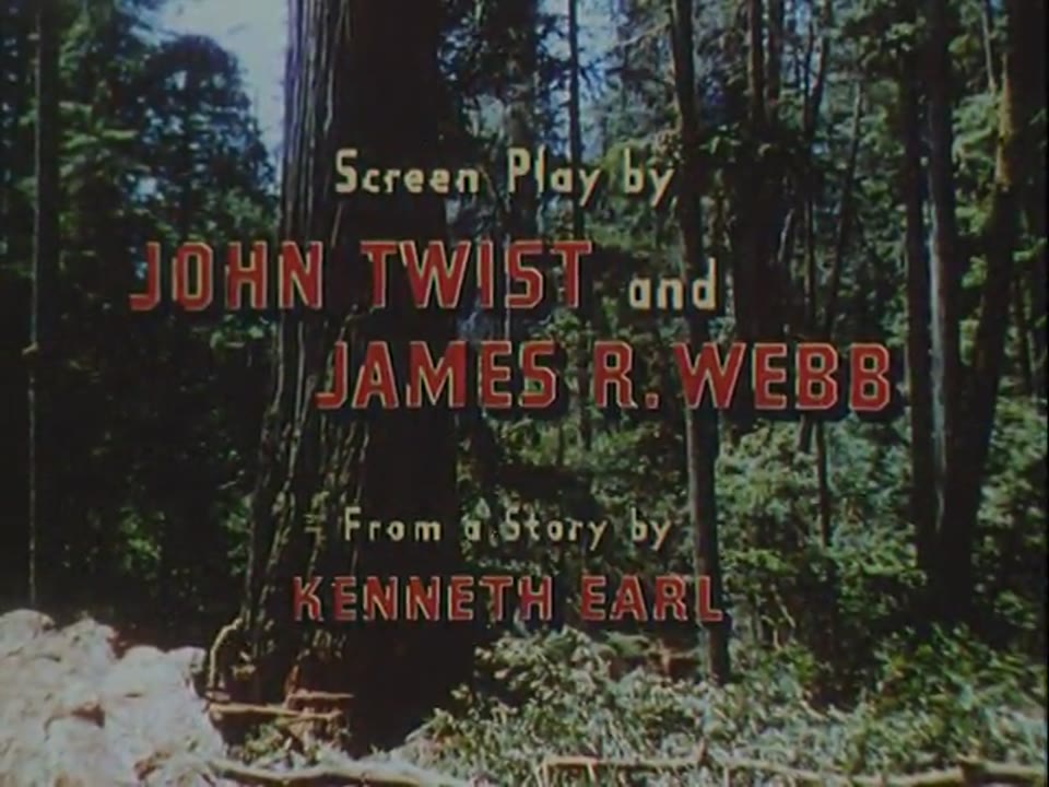 Big Trees, The
