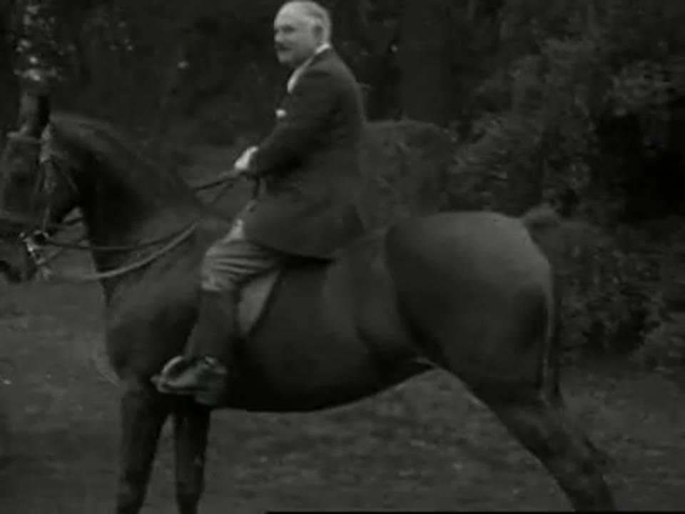 [Home Movies: Ransohoff Collection: Can 1-3, Horseback 1933, Kids in Bath, Heller's Baby]