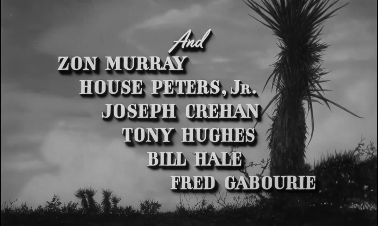 Highway Dragnet (1954)