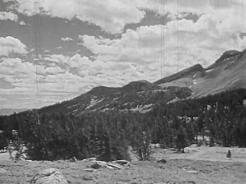 Lewis and Clark