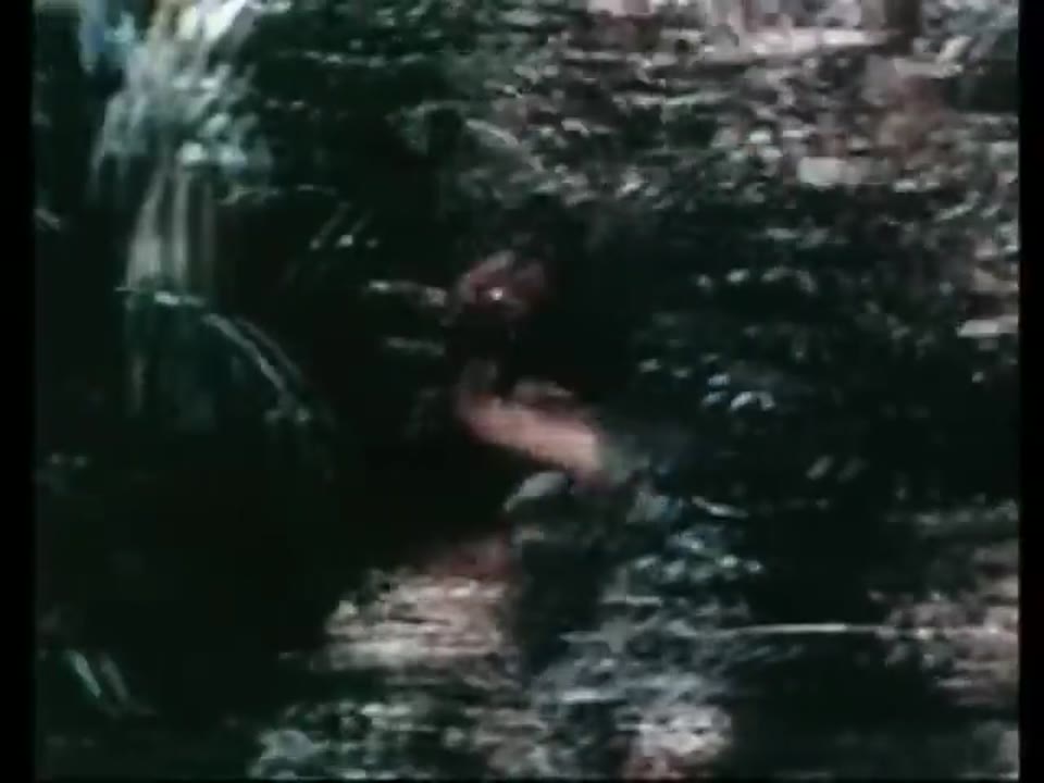 The Ballad of Andy Crocker (1969)