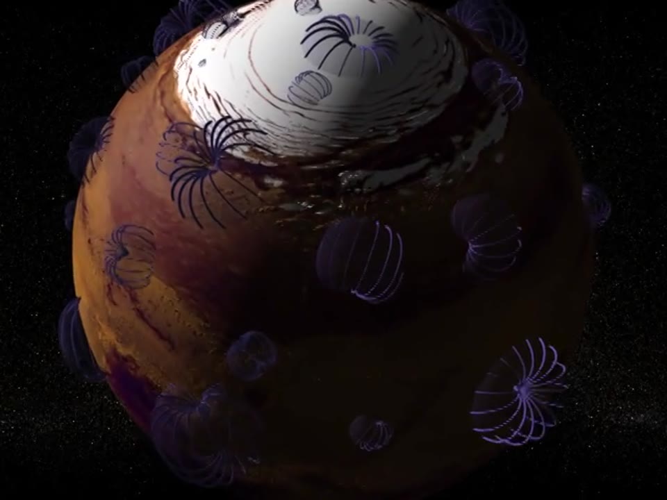 Martian Magnetic Fields