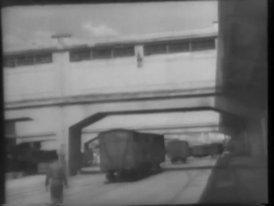 Volunteers Unload UNRRA Food Supplies, 1946/08/26