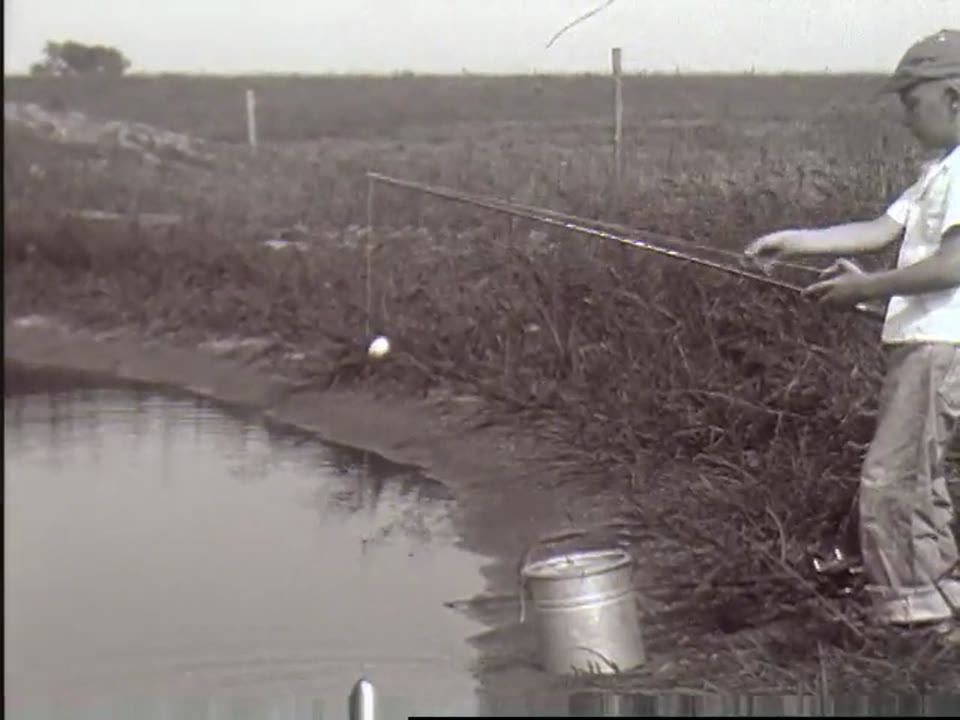 [Home Movies: Fishing, 1954]