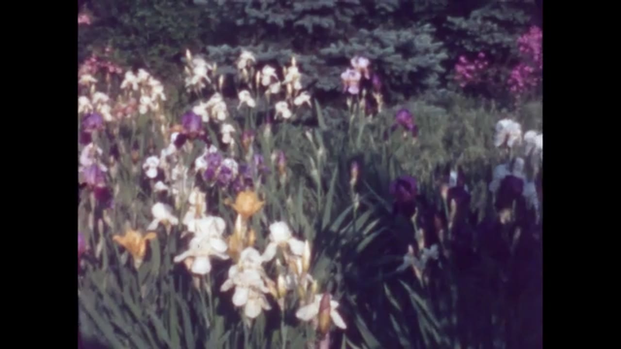 [Home movie: 099000-1: Arkansas farm family in 1950s, a flood on the Mississippi River, dogs, farm scenes]