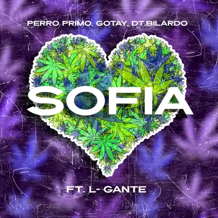 MUSICA SOFIA( 720 P HD) FT L-GANTE / DT BILARDO / PERRO PRIMO