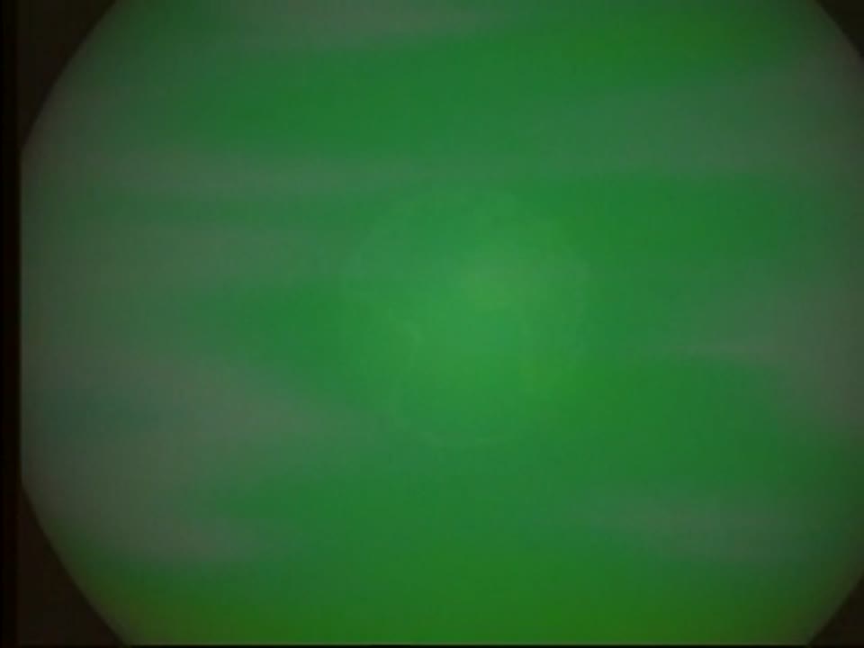 Visualization of 3D Ozone Data: Nimbus-7 SBUV