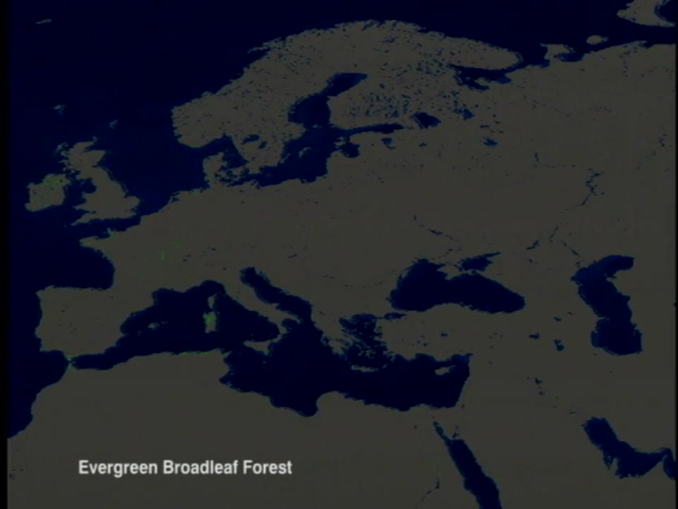 MODIS Land Cover of Europe