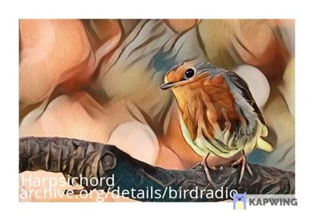Bird Radio - Harpsichord Tweets
