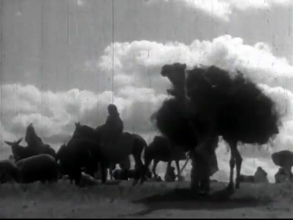 Wheels Across Africa