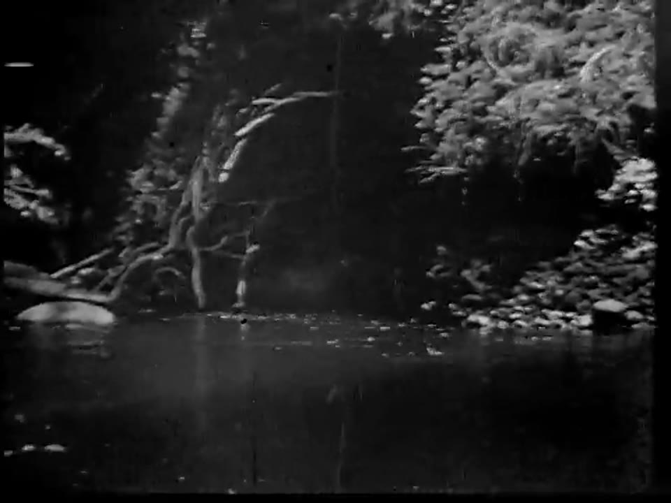 [Home Movies: "Part 2, Reel 6"]