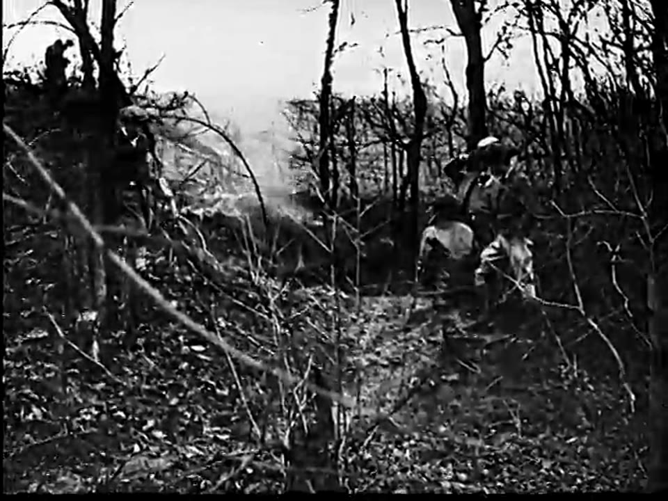 [Universal Newsreel clips: Fires]