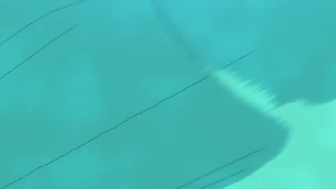 Pokémon: Distant Blue Sky! (TPCi - English dub)