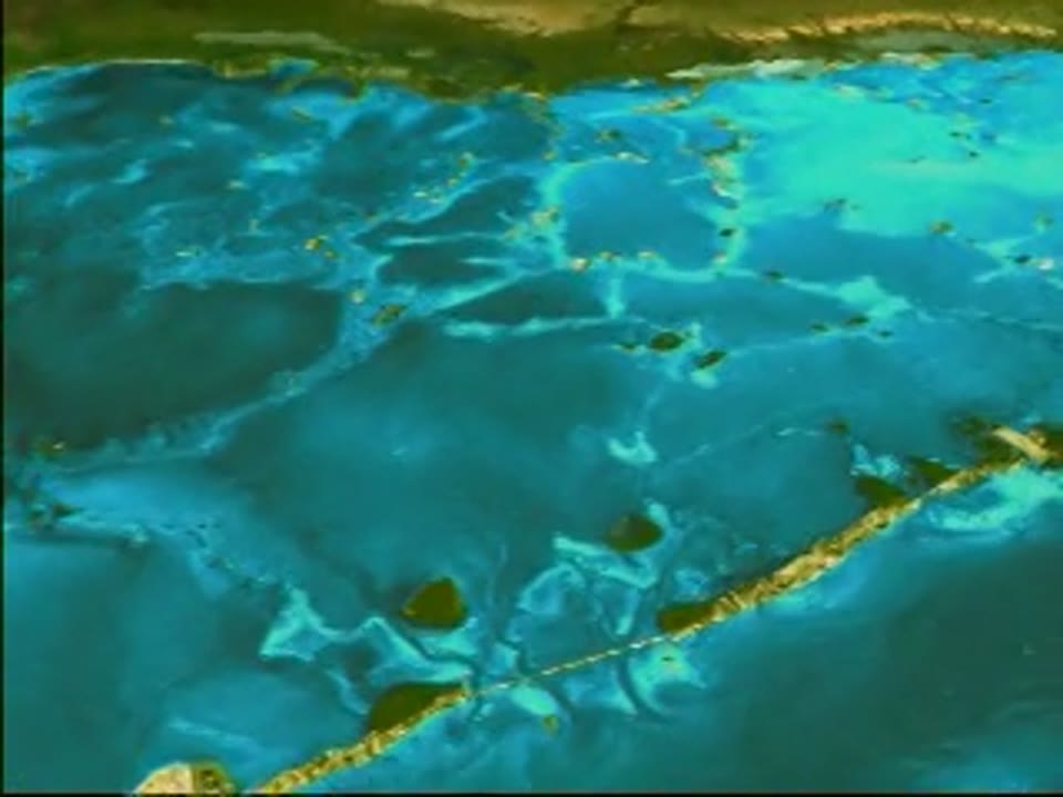 Florida Everglades Flyby