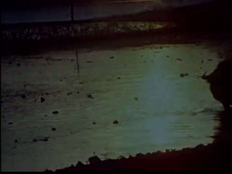 Voice of China, The (Reel 1 only)