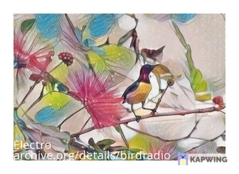 Bird Radio - Electro Tweets