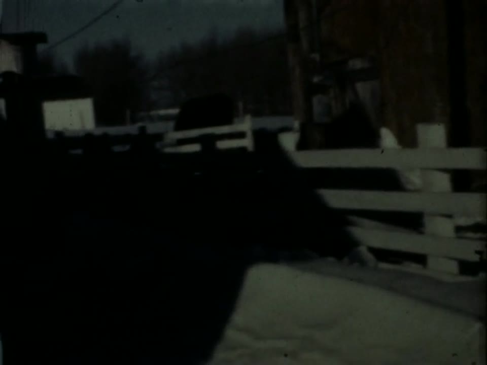Home Movie: 97501: Family and Home