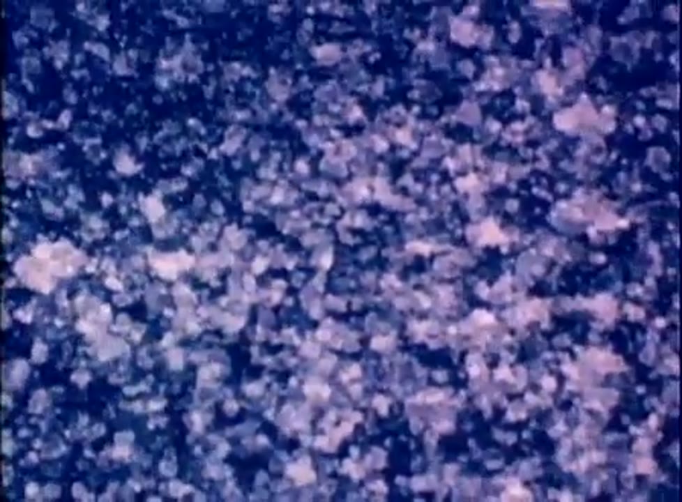 Of Stars and Men (1962)