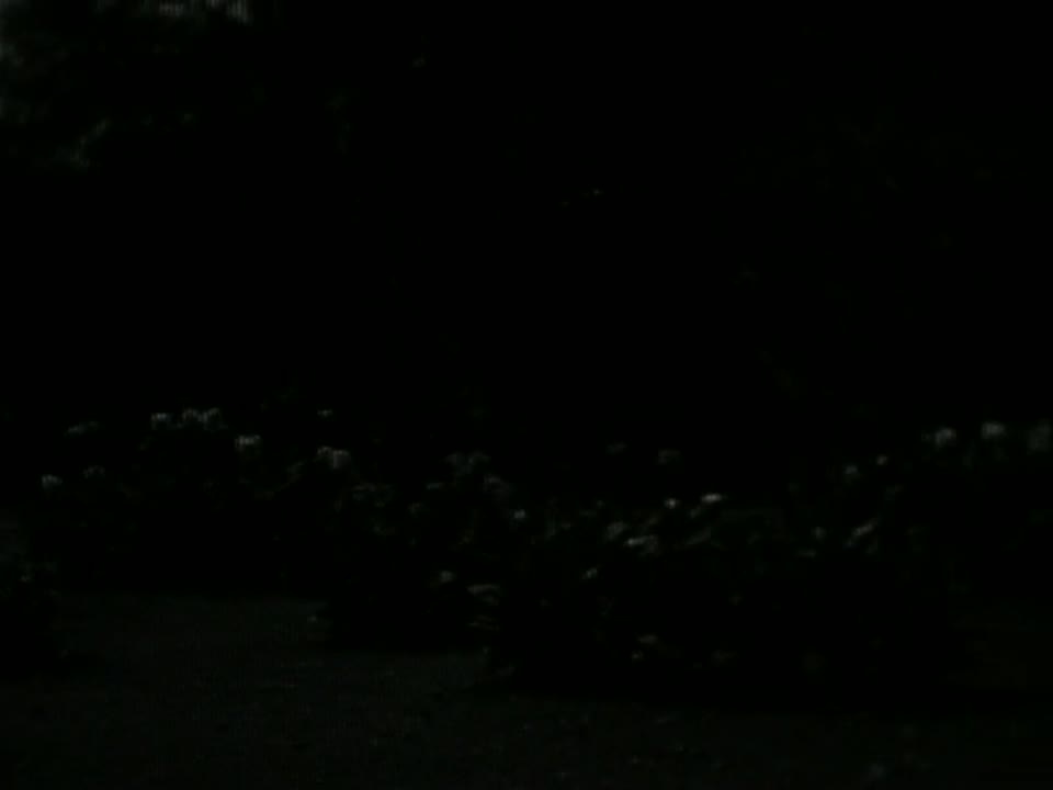 Home Movie: 97255: Unidentified Kodacolor