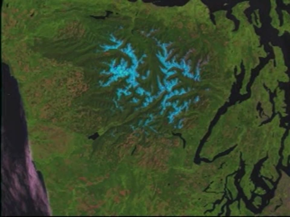 Zoom into Olympic National Forest Time Lapse: 1984 to 1995