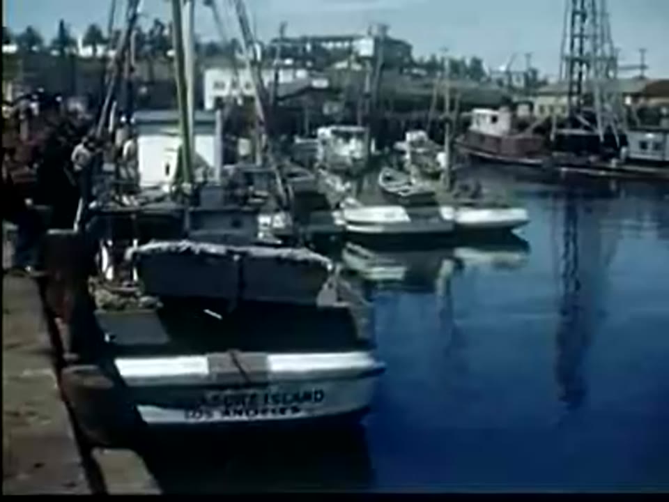 Bob Gaffner: Fisherman's Helper