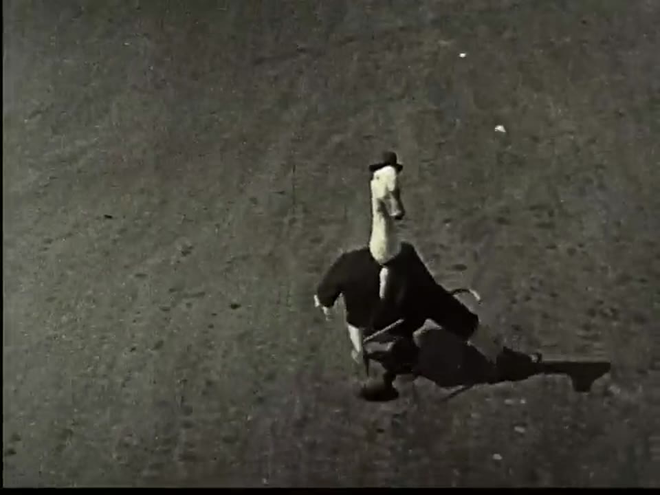 Barnyard Flappers