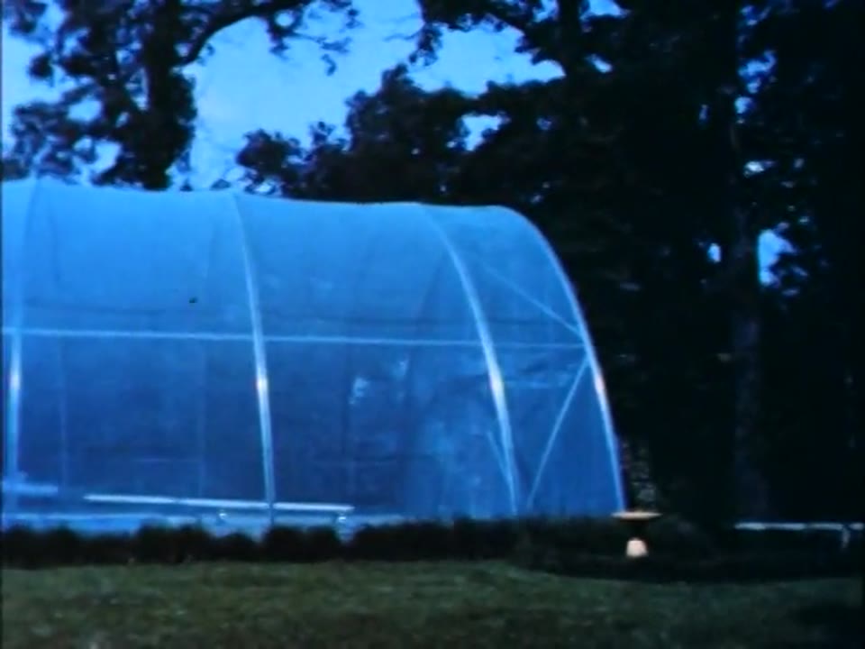 Curse of the Swamp Creature (1966)