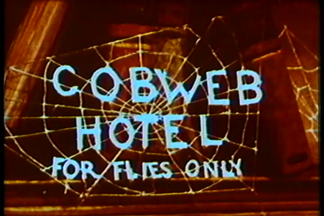The Cobweb Hotel