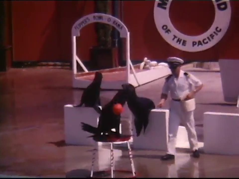 [Motor Trip Across Country 1965]