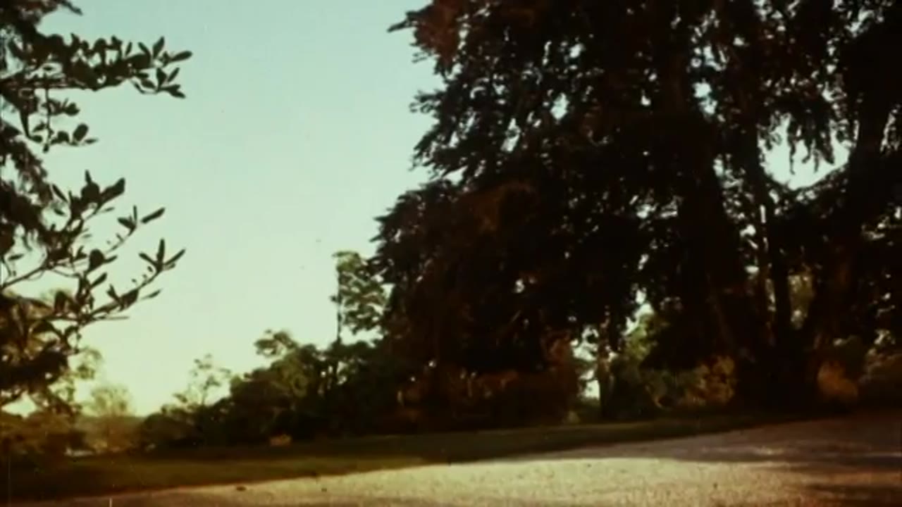 Silent Night, Bloody Night (WideScreen/Uncut)